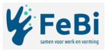 FEBI